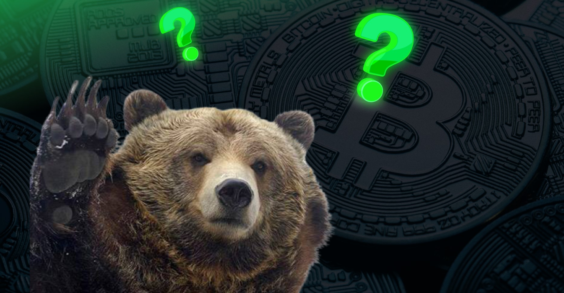 Crypto Trading Bot Strategies for Bear Markets: Preserving Capital
